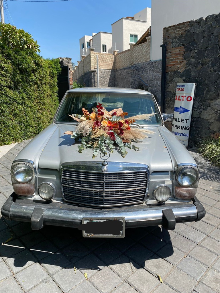 Mercedes Benz 280